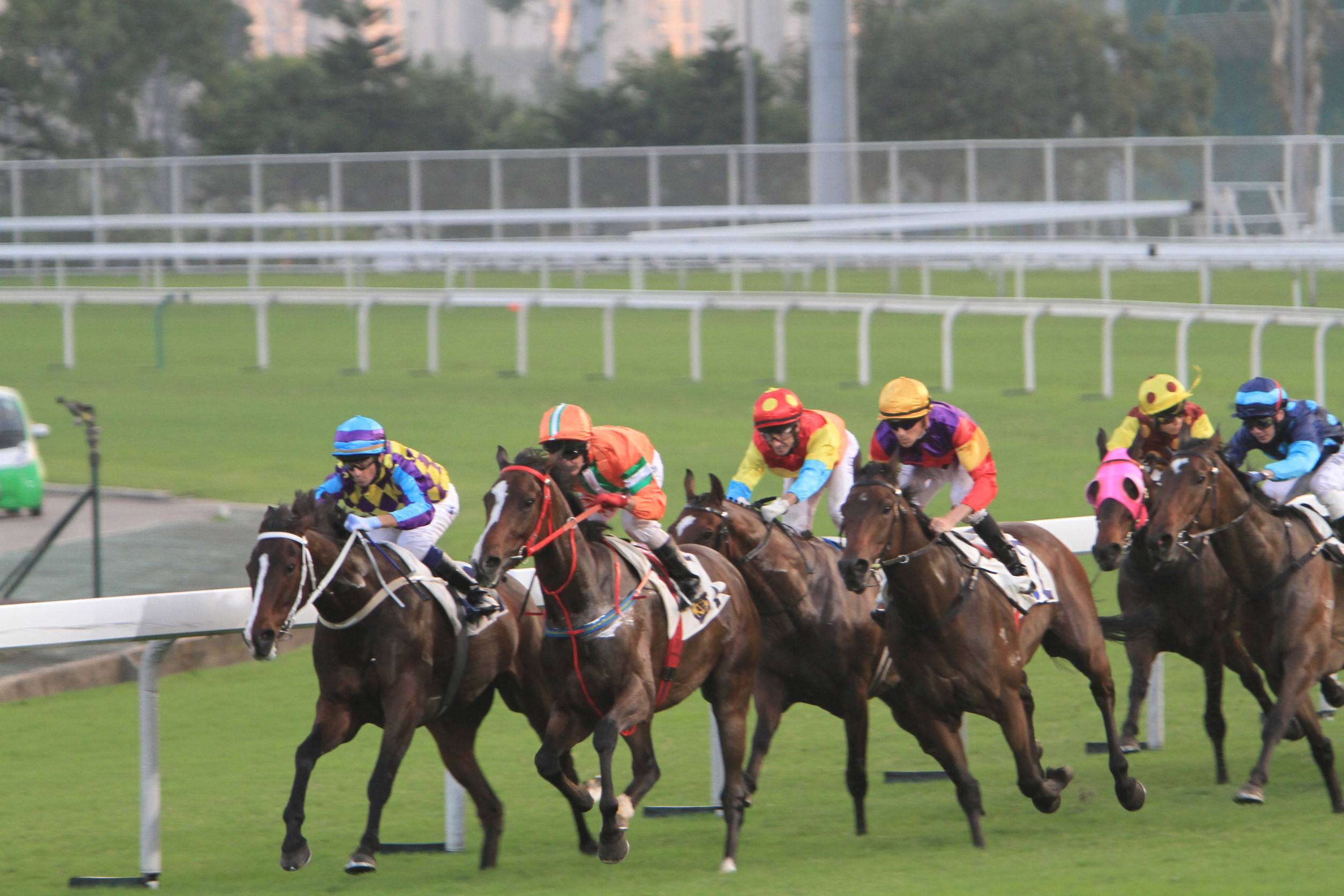Horse Racing
